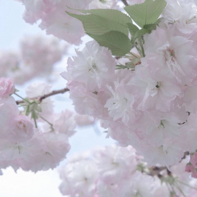 东昌府FurryQQ群介绍